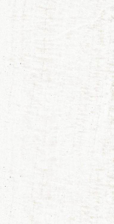 OL Onyx White Polished 12 x 24